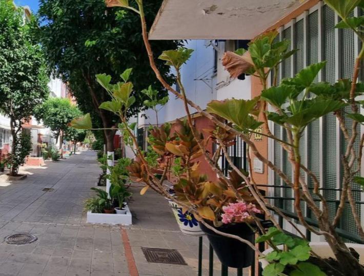 Appartamento Apartamento Triana Siviglia Esterno foto